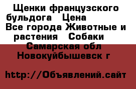 Щенки французского бульдога › Цена ­ 30 000 - Все города Животные и растения » Собаки   . Самарская обл.,Новокуйбышевск г.